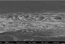 Kolagenske membrane